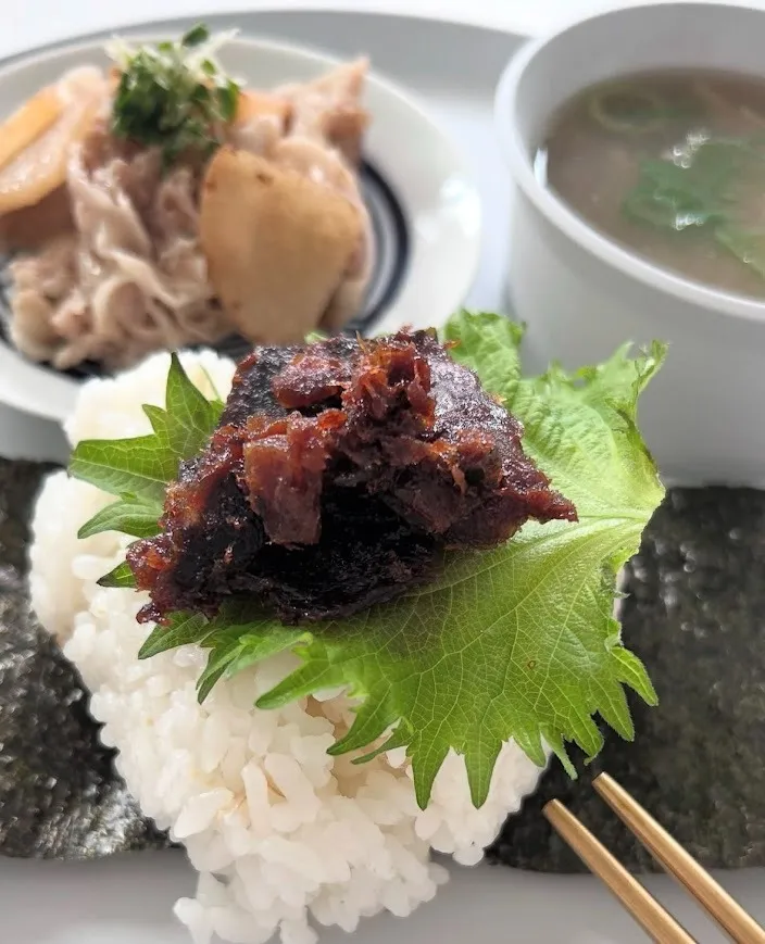 昆布の不思議な世界を探る 豆知識で日常に役立つ健康法