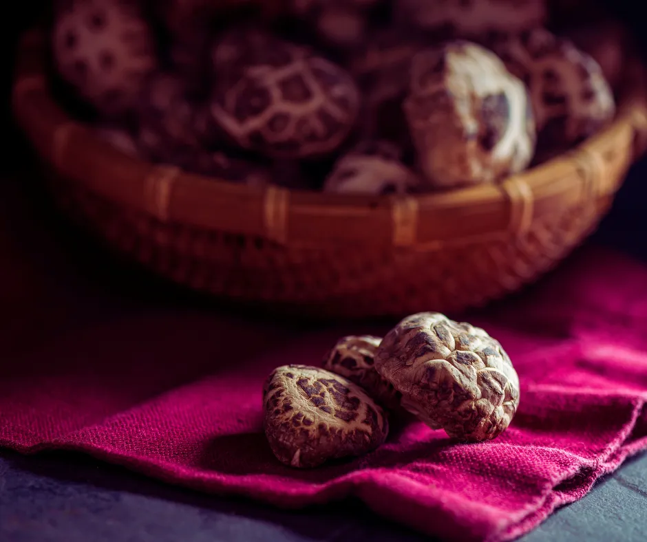 どんこ椎茸と香信椎茸の違いとは？味・価格・料理に向く種類を比較